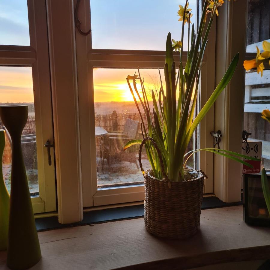 Marsvinslund Bed And Breakfast Viborg Exterior foto