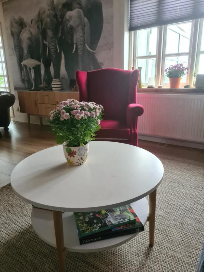 Marsvinslund Bed And Breakfast Viborg Exterior foto