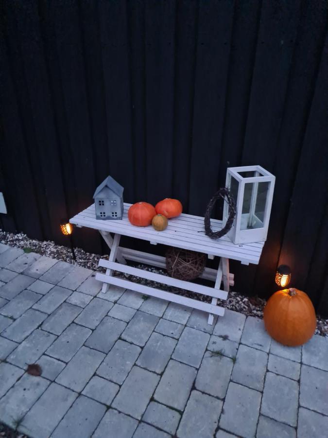 Marsvinslund Bed And Breakfast Viborg Exterior foto