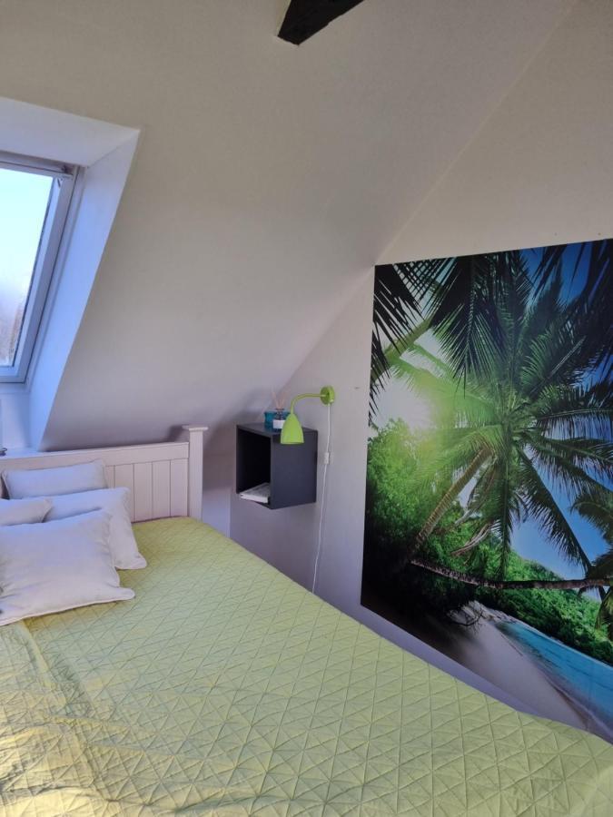 Marsvinslund Bed And Breakfast Viborg Exterior foto