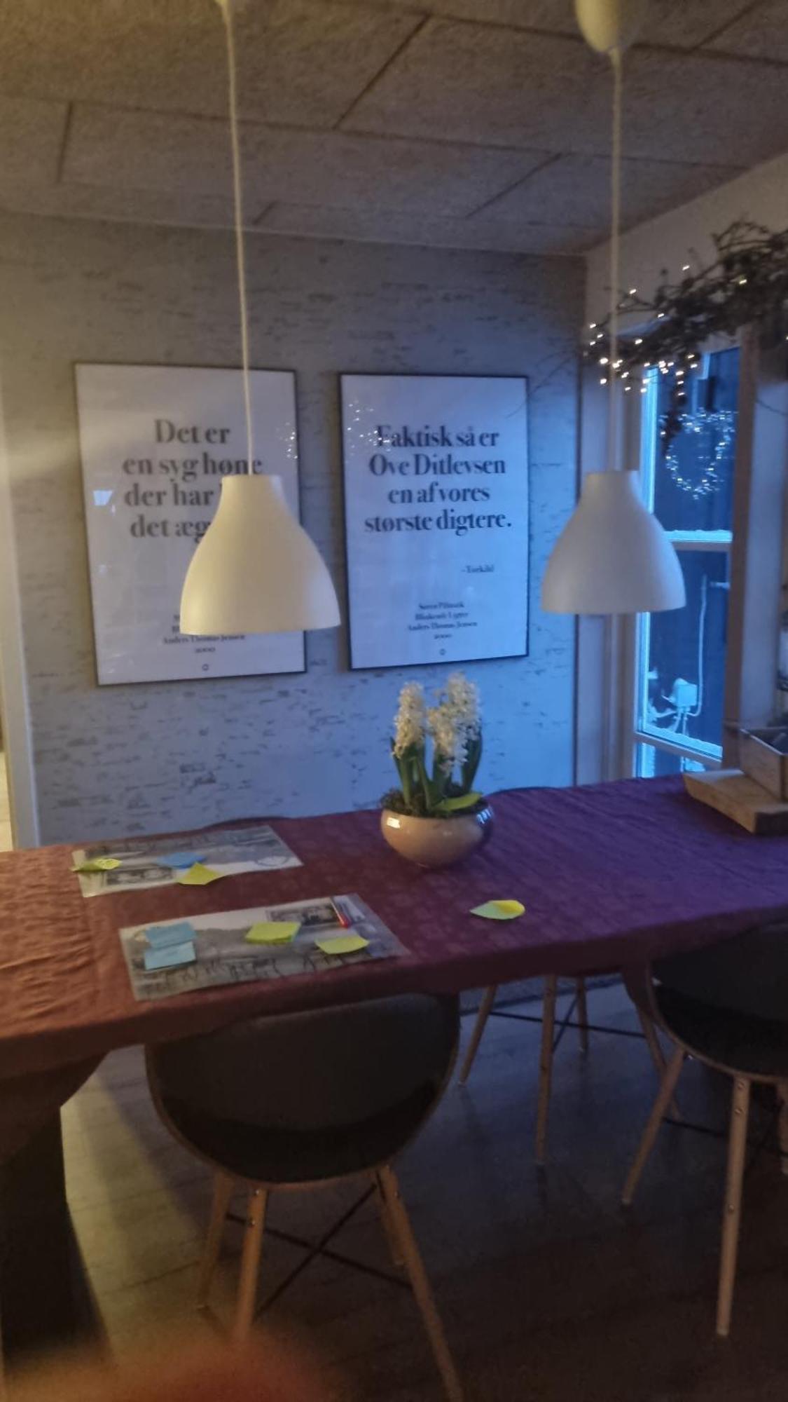 Marsvinslund Bed And Breakfast Viborg Exterior foto