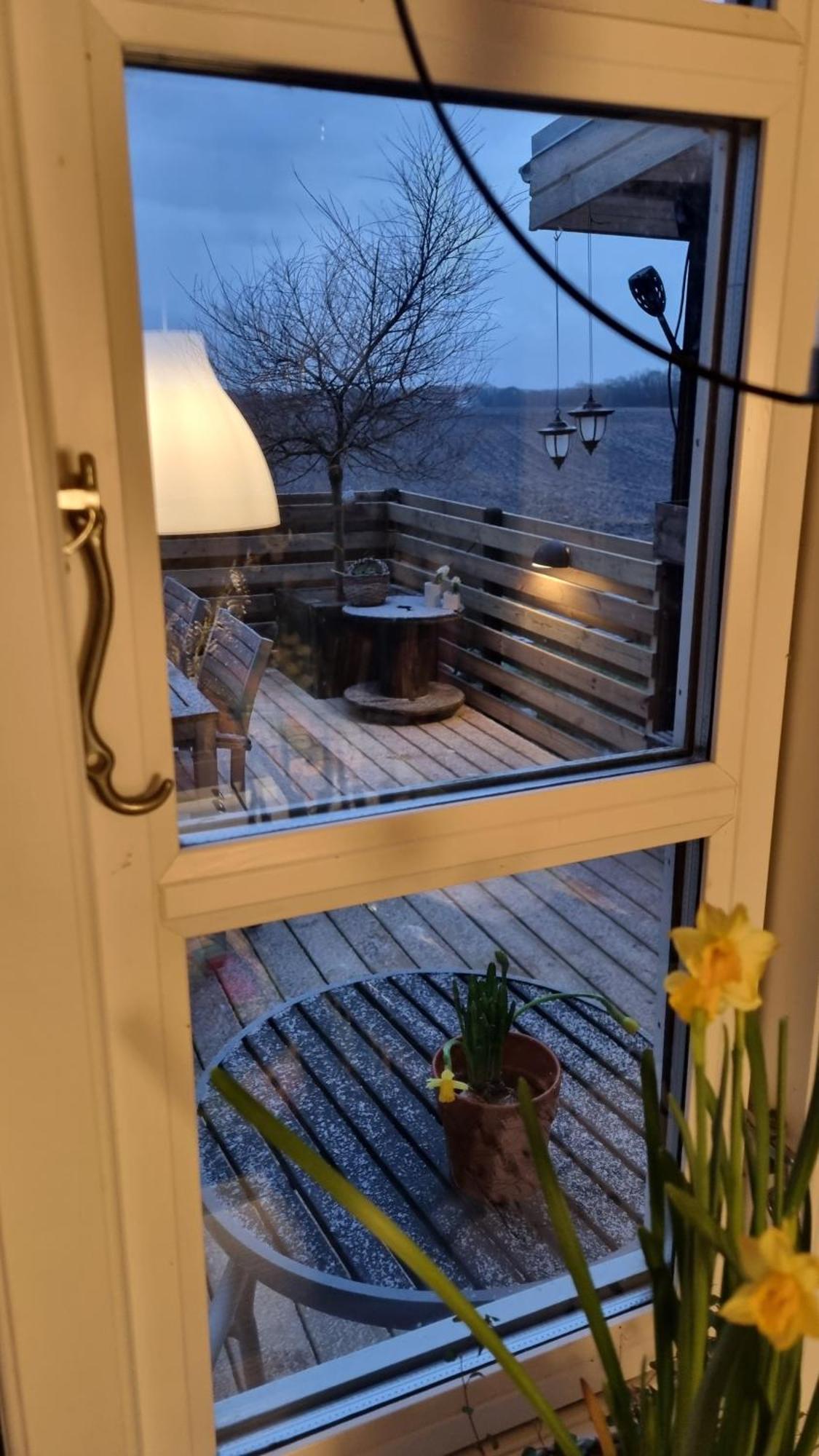 Marsvinslund Bed And Breakfast Viborg Exterior foto